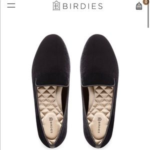 Birdies The Starling